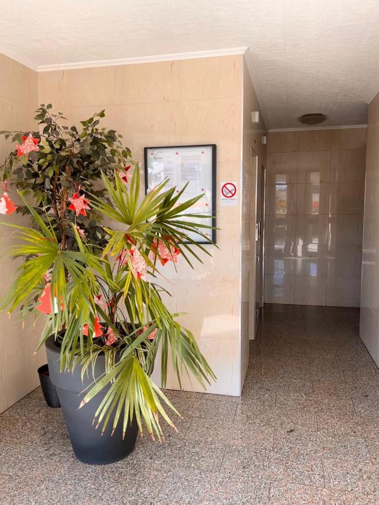 Coco Apartment Bergamo Exterior photo